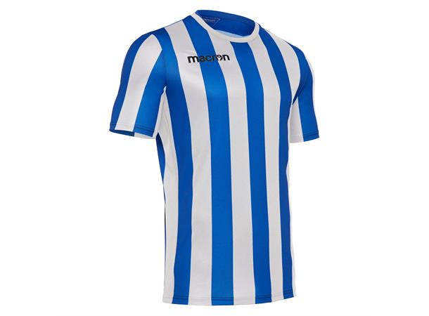 Trevor Shirt Shortsleeve ROY/WHT M Utgående modell 